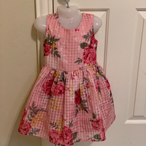 The Children's Place Other - The children place toddler girl dress size 4T